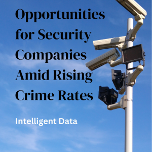 Opportunities amid rising Crime in South Africa